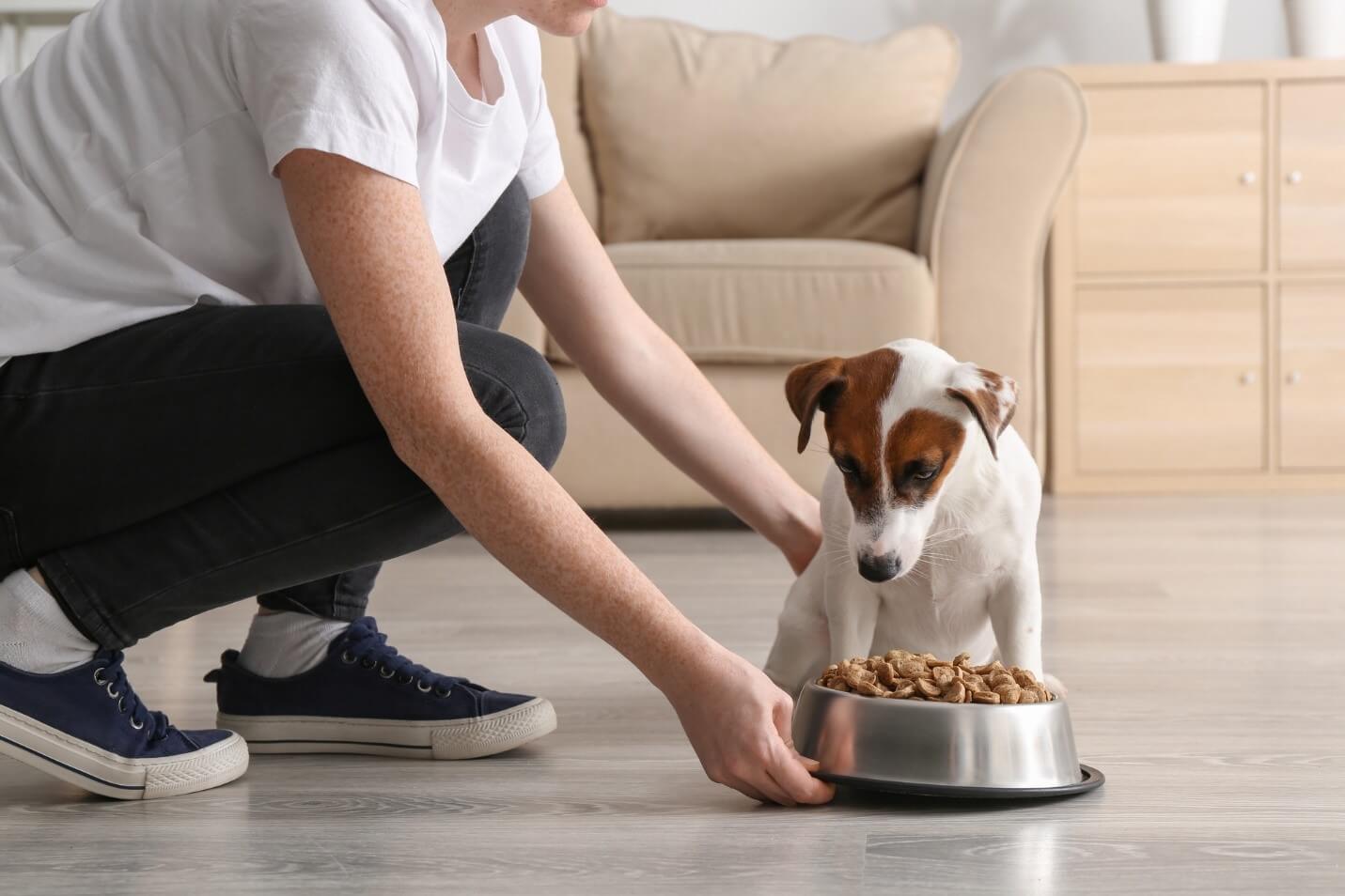 The Pandemic Pet Effect Global Trends for Pet Food in 2022